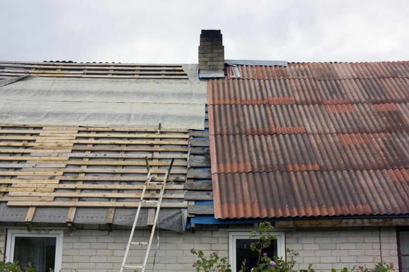 Roof Repair and Reinforcement