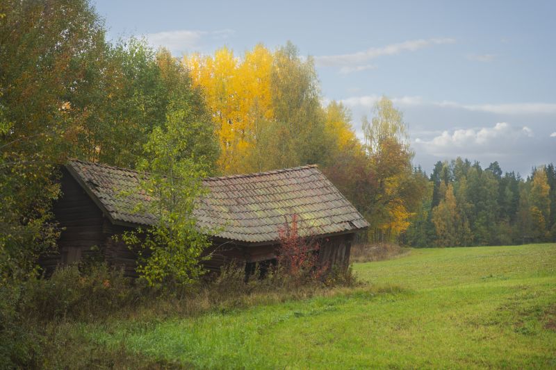 Autumn Roof Installation Scene