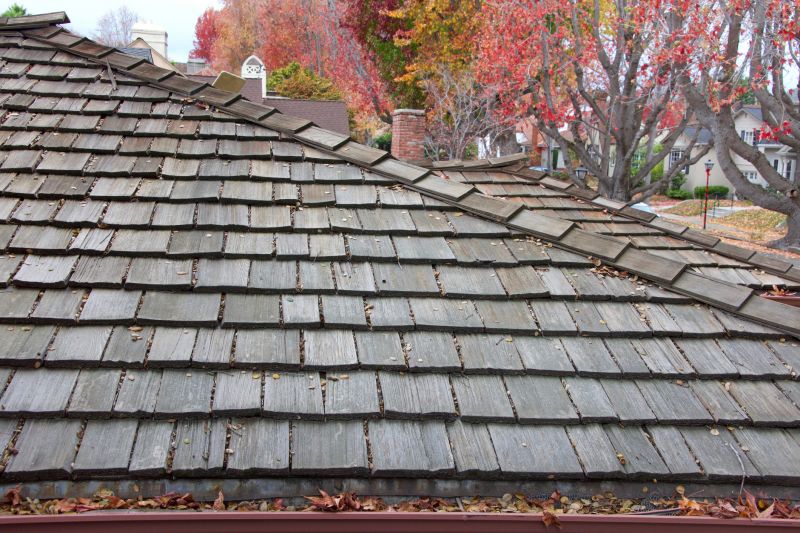 Fall Roofing Project